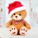 12 Inch Cuddly Bear with a Christmas Special Santa Cap